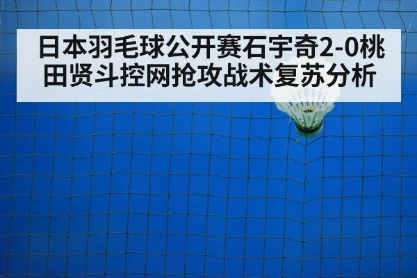 badminton net play
